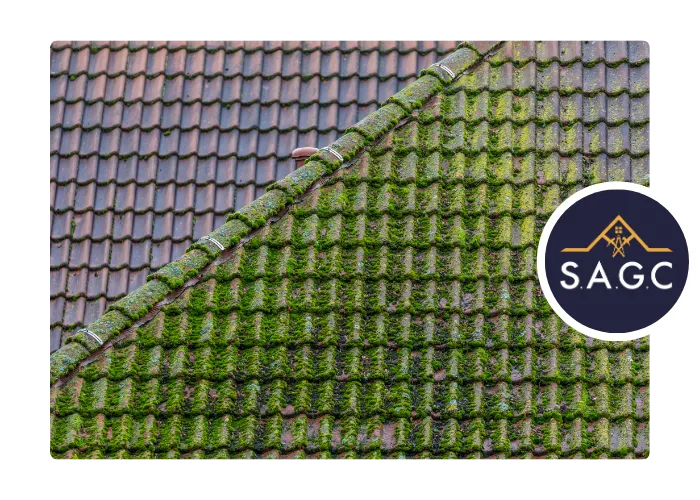 construction terrasse la riche