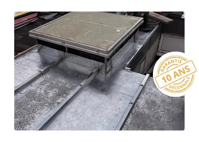 demoussage toiture saint cyr sur loire