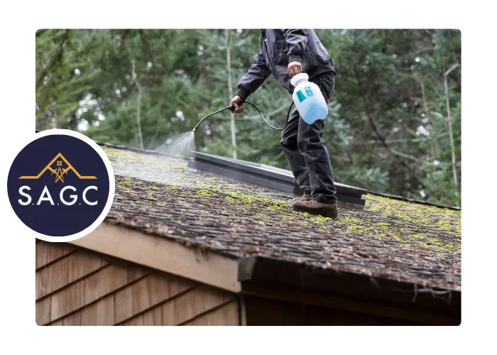 pose fenetre de toit la riche